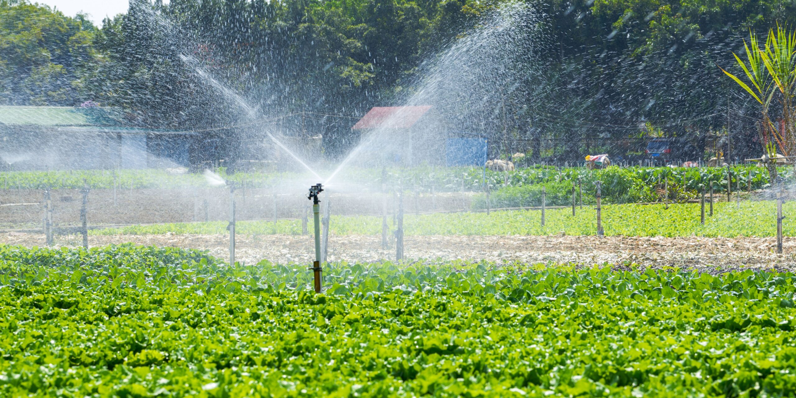 irrigationsolution